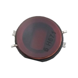 LAGUNA 2 Smart Card Coil - Ren