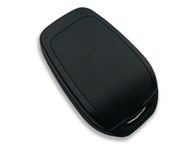 Ren New Type 2 Buttons (Original) (433 MHz, PCF7961M) - 2